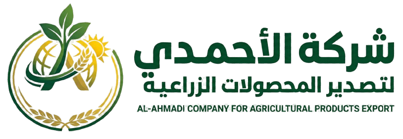 شركة الأحمدي للاستيراد والتصدير